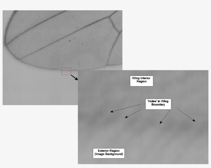 I Would Like To Create This Graphic Inside Of Latex, - Pgf/ti<i>k</i>z, transparent png