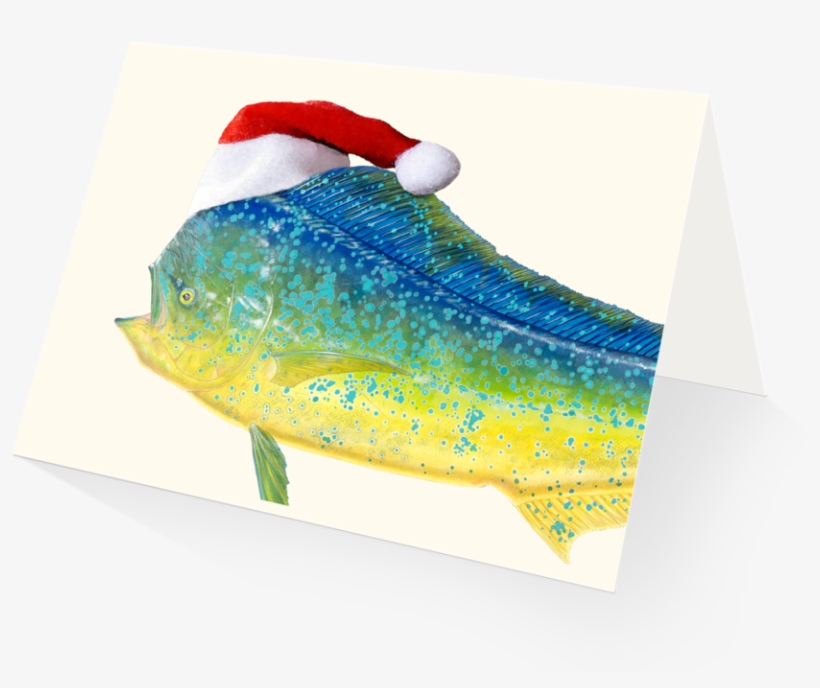 Merry Mahi Mahi Holiday Card - Art, transparent png