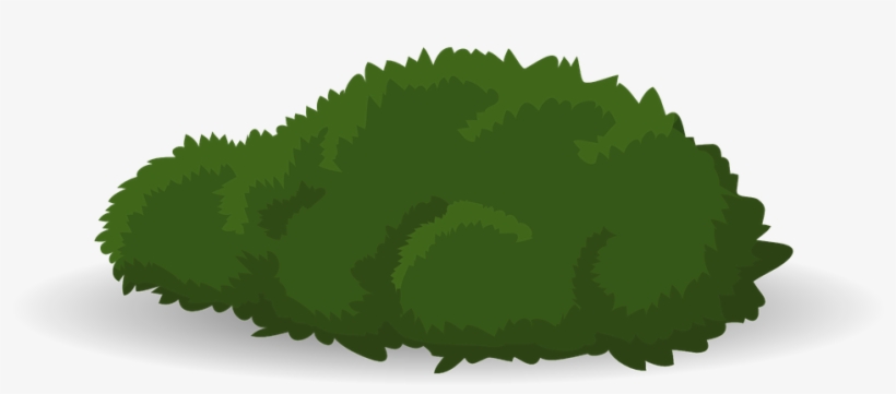 Butternut Squash Png - Transparant Bush, transparent png