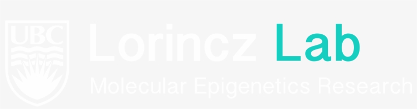 Lorincz Lab - Home Page, transparent png