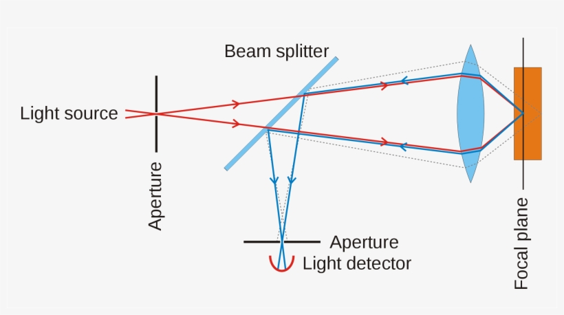 Confocalprinciple In English - Confocal Microscopy Working Principle, transparent png