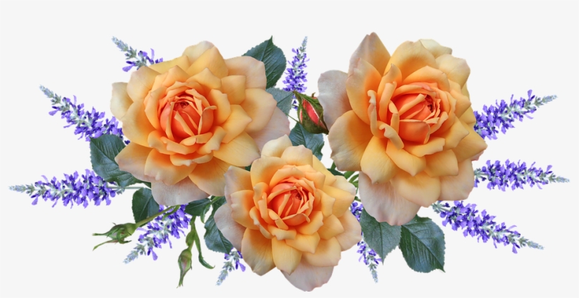 Flowers, Roses, Arrangement, Perfume, Garden, Nature - Perfume, transparent png