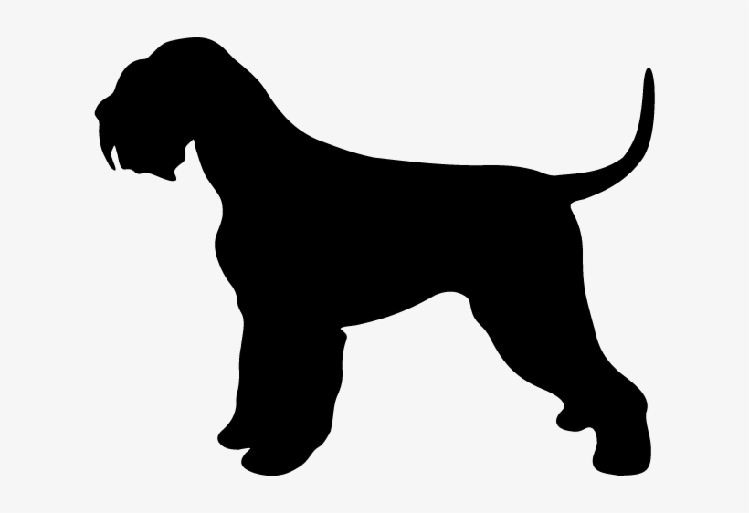 Ds 0027 Giant-schnauzer - Terrier, transparent png