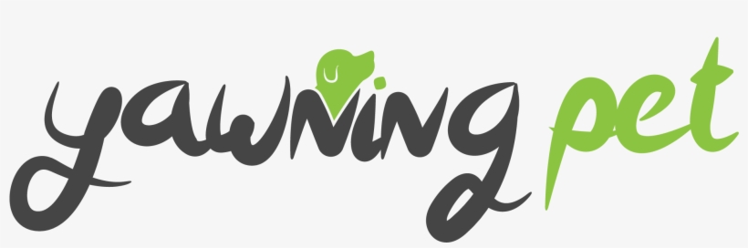 Dog Bark Collar With Vibration Harmless Shock Usb Rechargeable - Shock Collar, transparent png