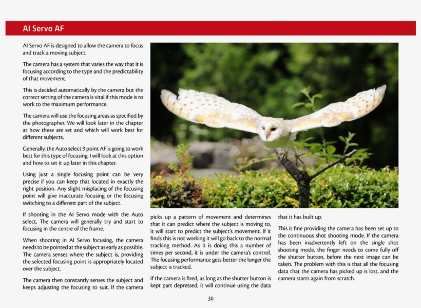 A Random Selection Of Pages From The Book Are Shown - Snowy Owl, transparent png