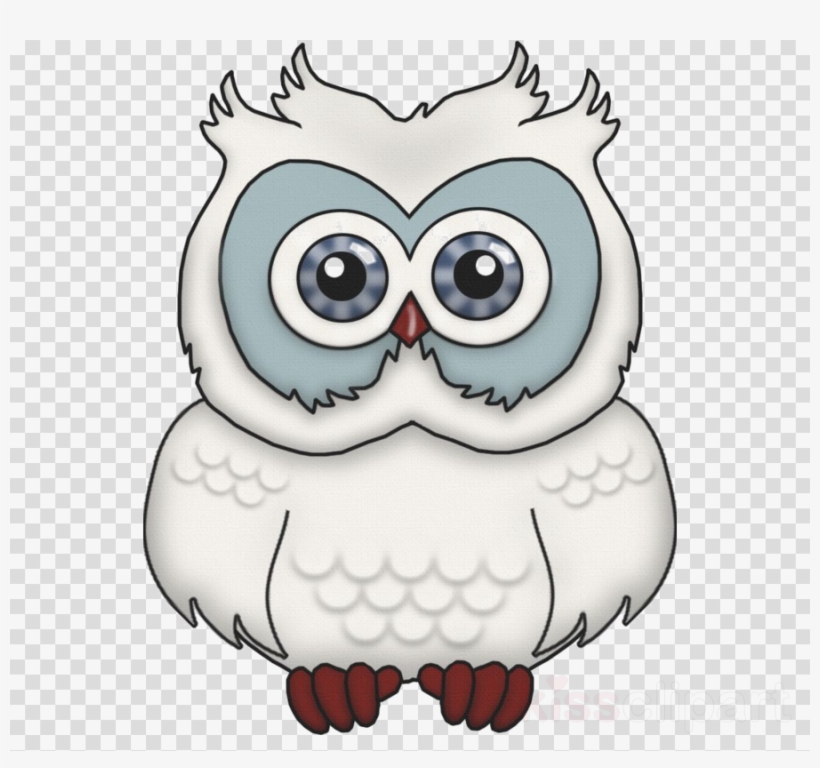 Owl, transparent png