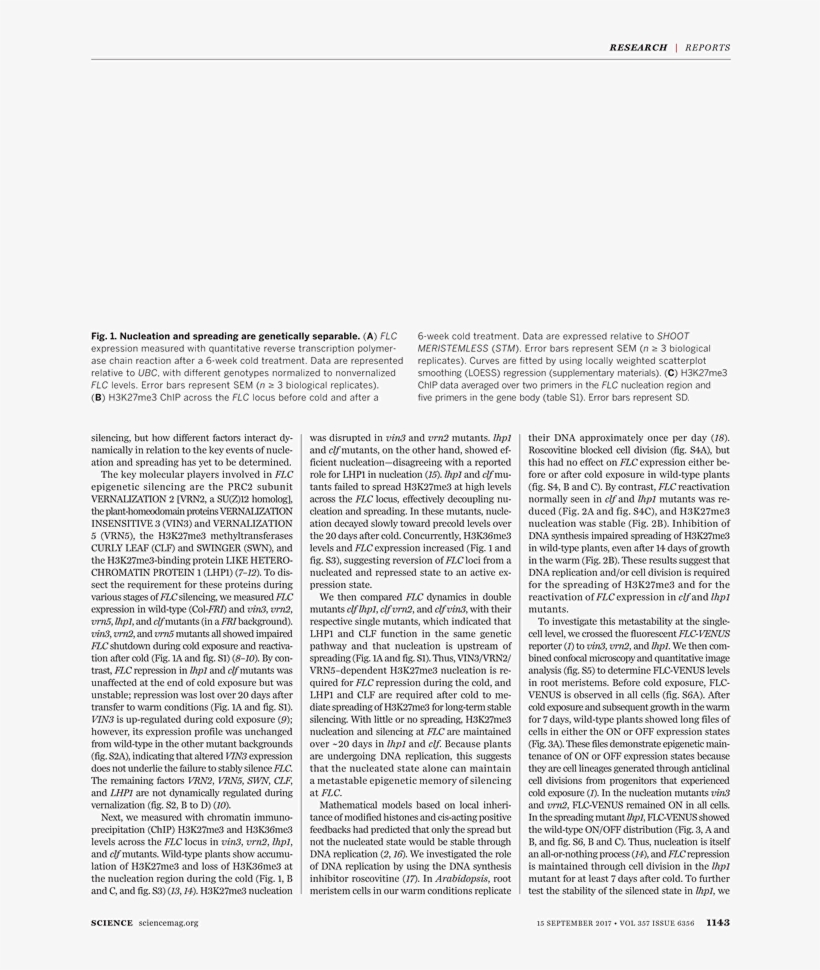 What - Folio Fifteen From Burchard Of Sion's De Locis Ac Mirabilibus, transparent png