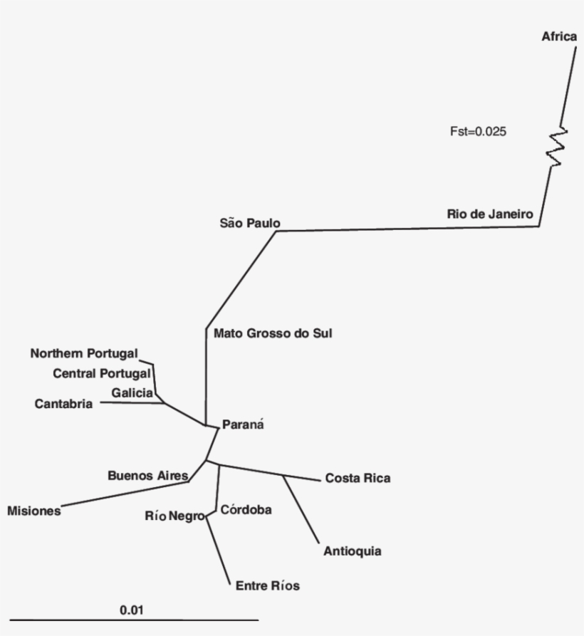 Neighbour Joining Tree Based On Pairwise F St Genetic - Sahara, transparent png