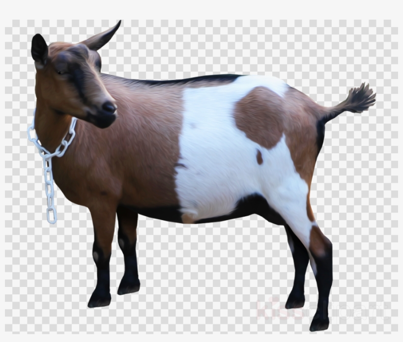 Goat Clipart Goat Sheep Cattle - Vector Graphics, transparent png