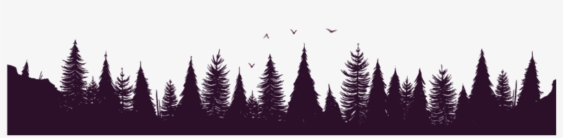 Spruce-fir Forest, transparent png