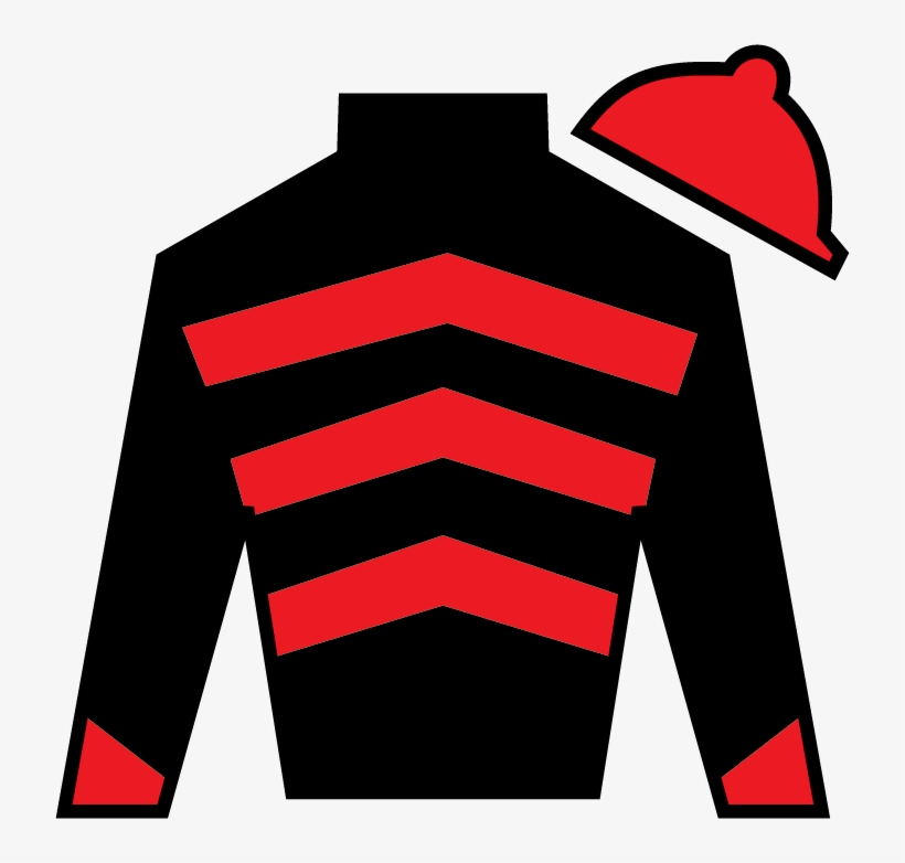 Kentucky Derby Silks In Post Position Order Tdp News - 2017 Kentucky Derby Silks, transparent png
