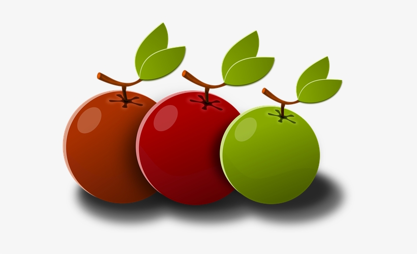 Go To Image - Плод Пнг, transparent png