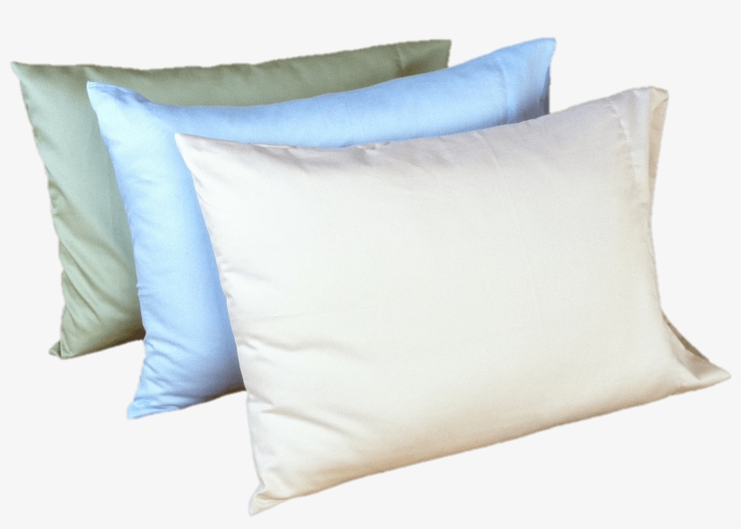 The White Lotus Home Newsletter Is The Fastest Way - Cushion, transparent png