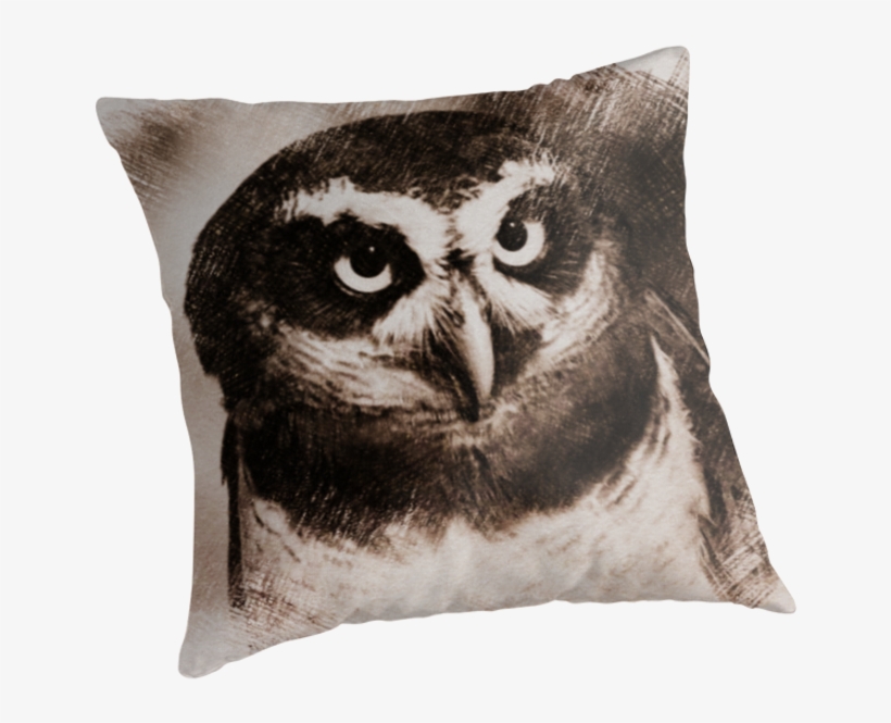 Owl Sketch 05 By Fantasytripp - Owl, transparent png