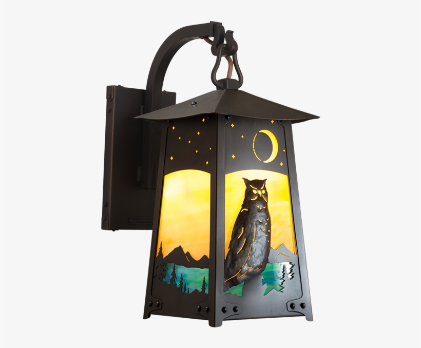 Baldwin Series Hook Arm Mount With Great Horned Owl - Ceiling Fixture, transparent png