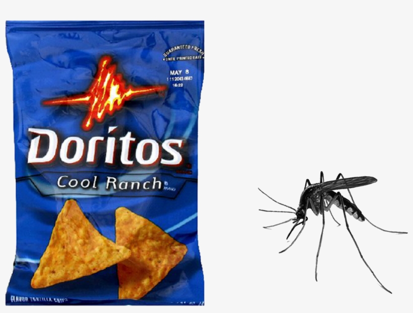 Doritos Cool Ranch Bag, transparent png