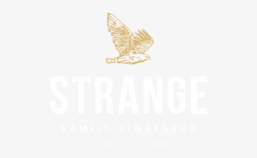 Emblem, transparent png