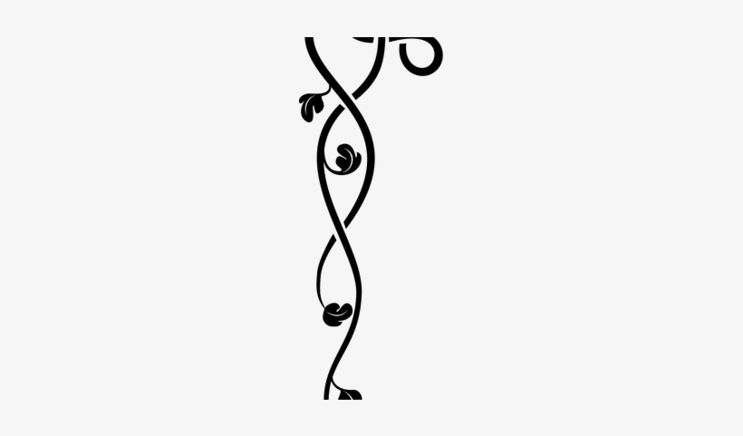 Ivy Clipart Divider - Christmas Day, transparent png
