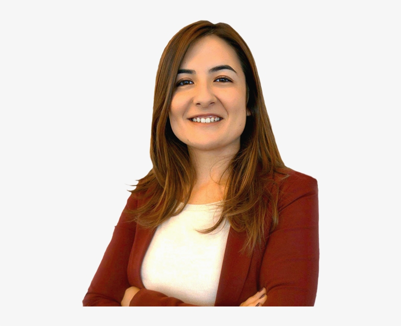 Lawyer, transparent png