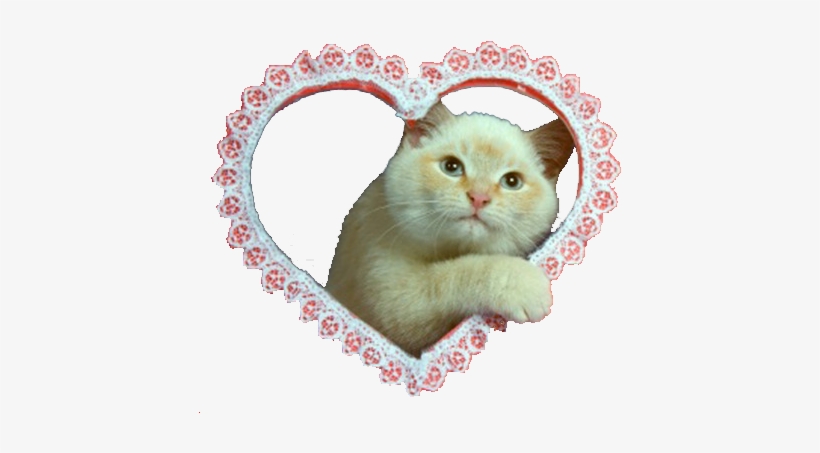 Cat Mine Cats Heart Png Transparent Soft Grunge - Soft Grunge Png, transparent png