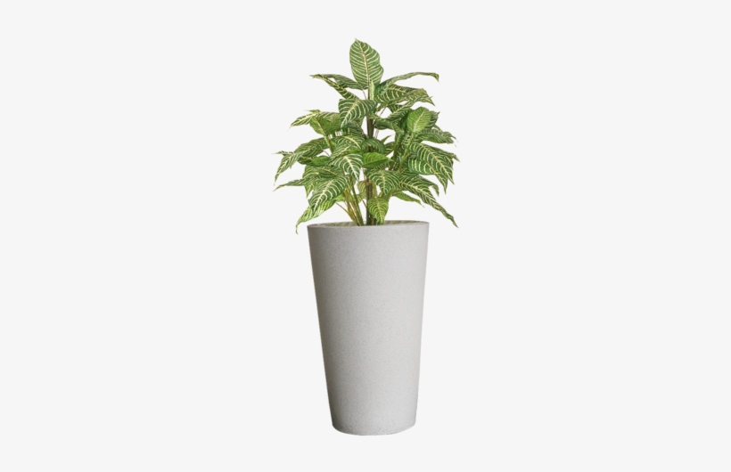 Flower Pots Png Png Stock - Plant In Pot Png, transparent png