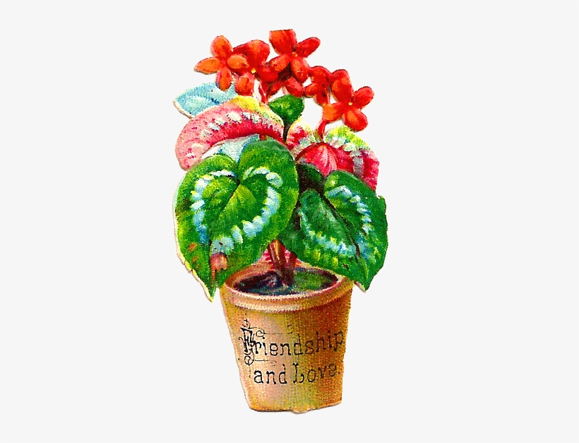 Free Flower Graphic - Flowerpot, transparent png