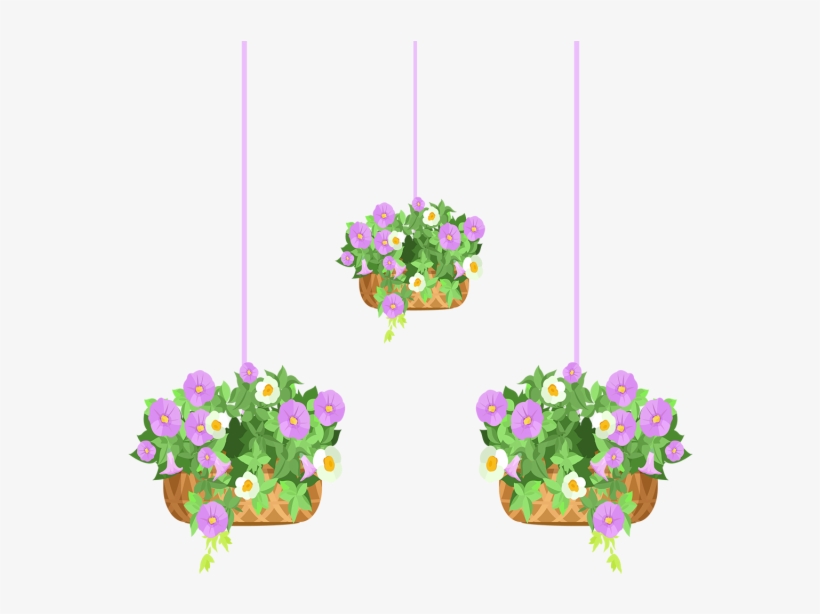 Hanging Flower Pots Illustration, Flowers, Pot, Hanging - Illustration, transparent png