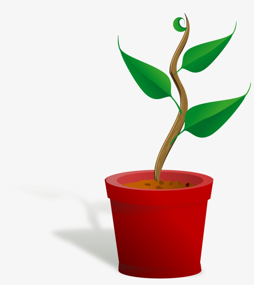 Png Freeuse Download Clipart Growing Big Image Png - Getting To Know Plants, transparent png