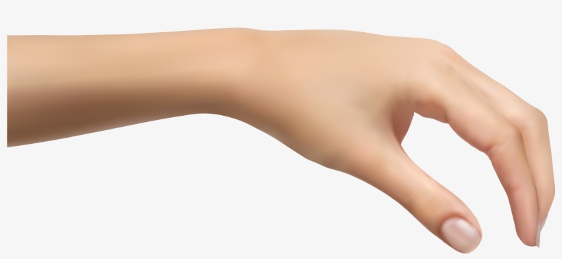 Clip Art, transparent png