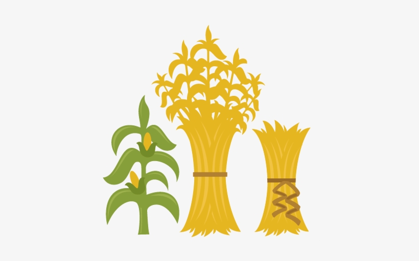 Corn Stalks Svg Cutting Files For Scrapbooking Fall - Fall Corn Stalks Clip Art, transparent png