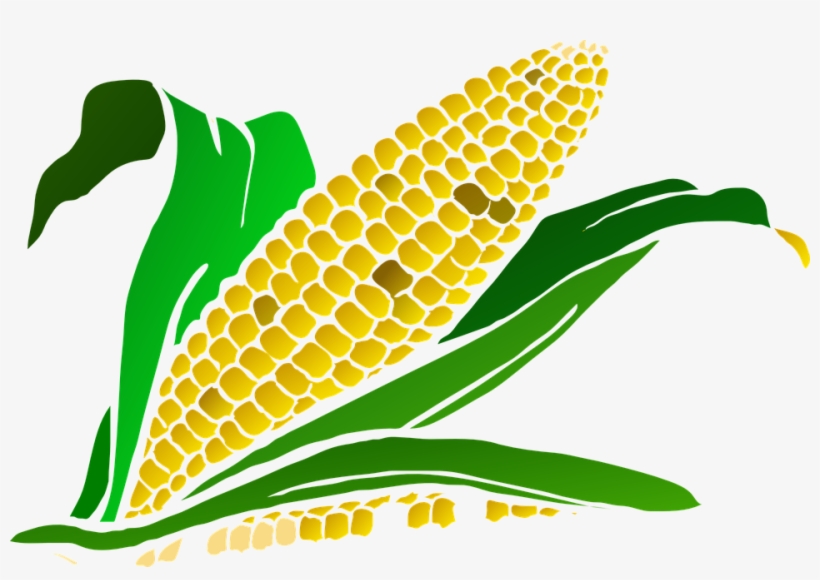 Corn Clipart Harvesting Crop - Corn Clip Art Png, transparent png
