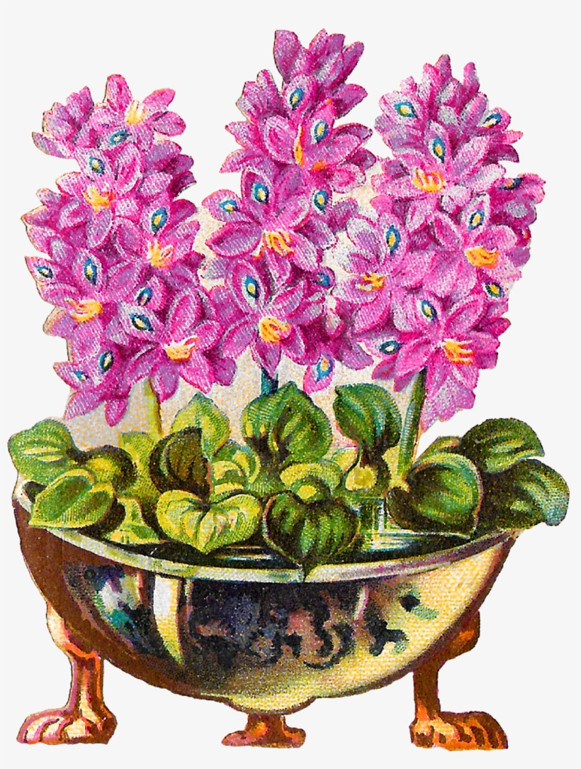 Flower Pot Plant Vintage Clipart Illustration Botanical - Illustration, transparent png