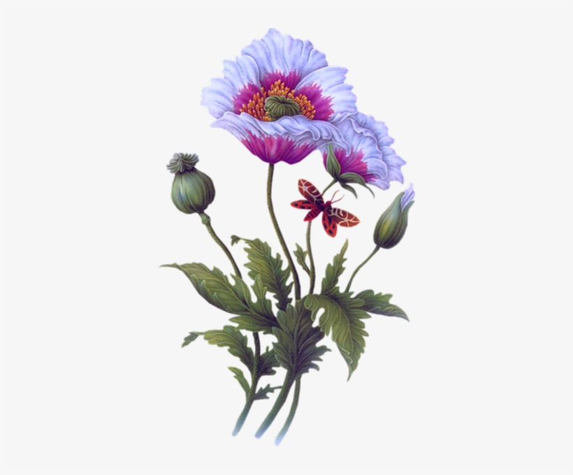 Painting, transparent png