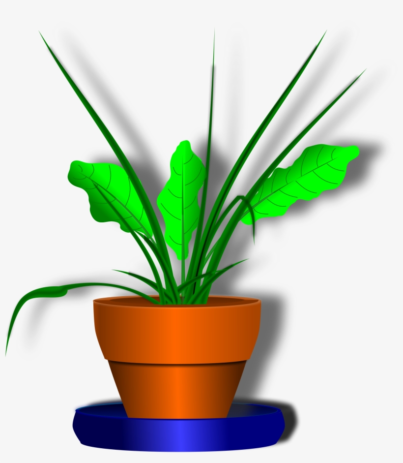 Open - Clip Art, transparent png