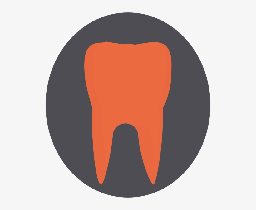 Tooth, transparent png