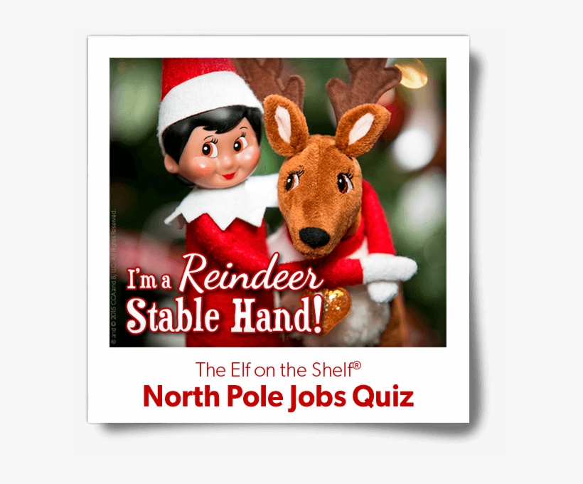 Animal - Elf On The Shelf North Pole Jobs, transparent png