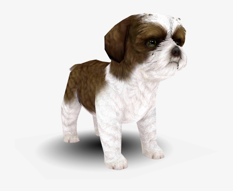 Download Zip Archive - Nintendogs + Cats, transparent png