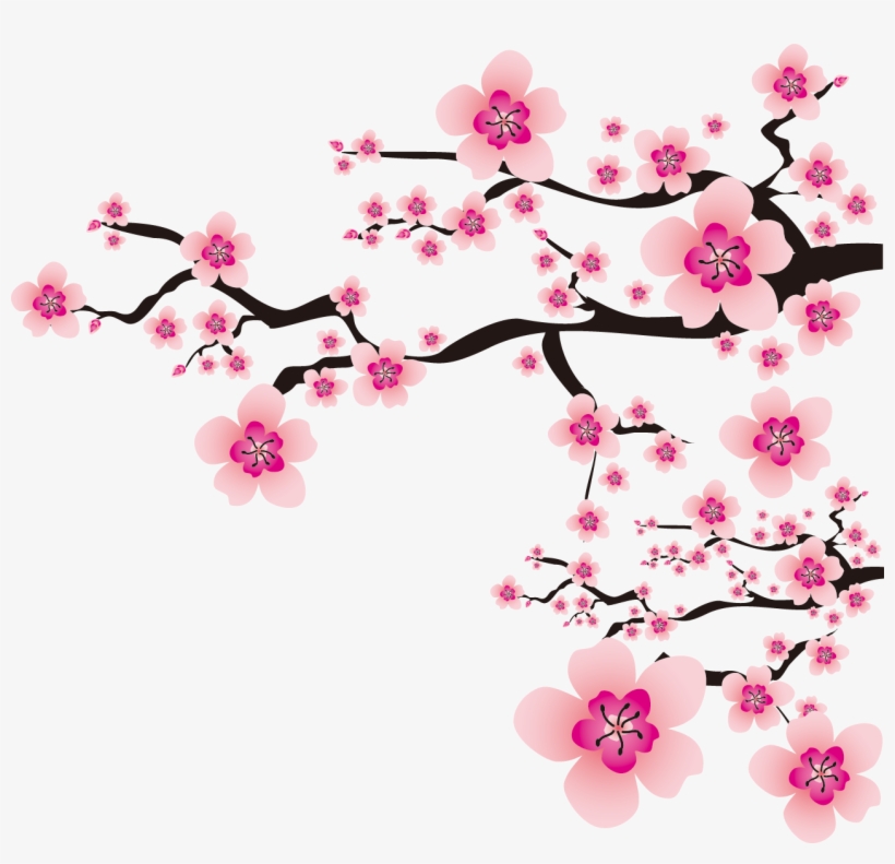 Sakura Png - Cherry Blossom Vector Transparent, transparent png
