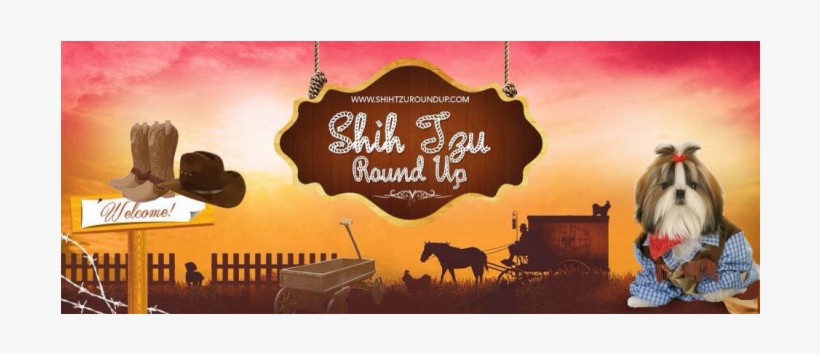 Welcome To Shihtzu Roundup - Dog, transparent png