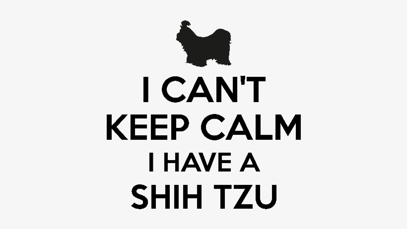 I Cant Keep Calm I Have A Shih Tzu - Can't Keep Calm I'm Going To Be A Big Brother To Baby, transparent png