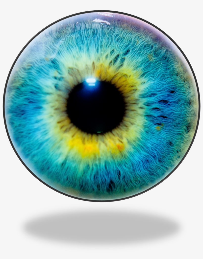 By Thomas Tolkien [cc By - Illusions That Work, transparent png