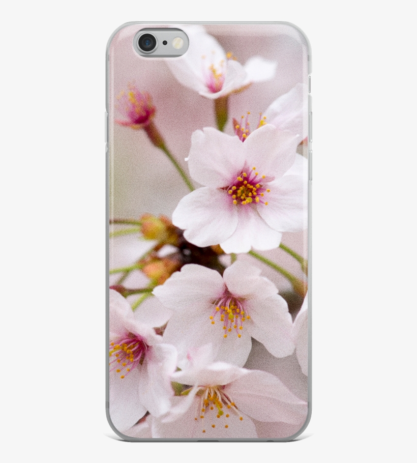 Ablyth Iphone Case, Travel Japan Series - Cherry Blossom, transparent png