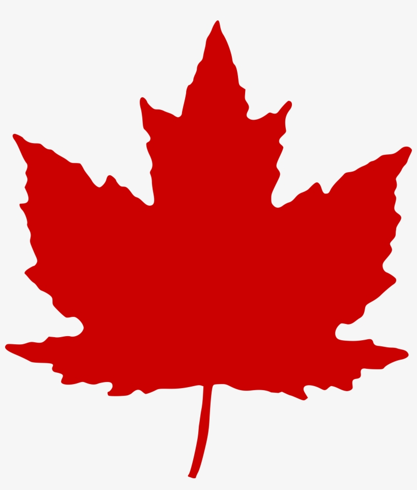 Maple Leaf - Canadian Maple Leaf Png, transparent png