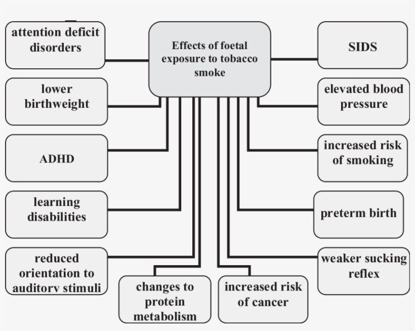 The Effects Of Fetal Exposure To Constituents Of Tobacco - Number, transparent png