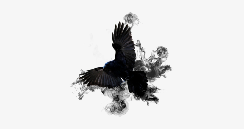 Unique Pictures Effects Of Smoking Crow Smoke Png By - Bruno Schulz Nowy Lepszy Człowiek, transparent png