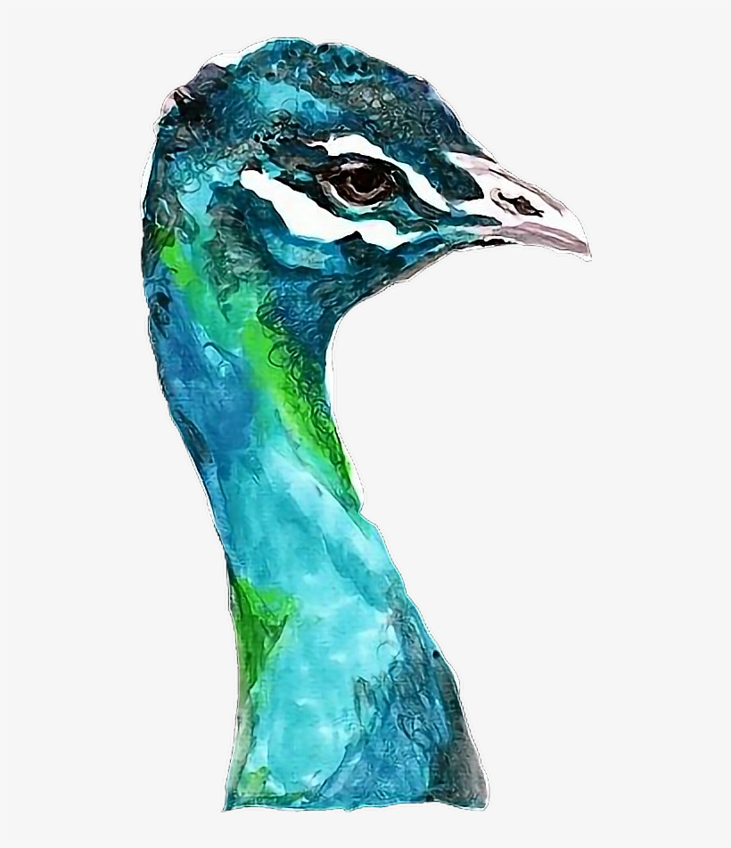 Report Abuse - Watercolor Painting, transparent png