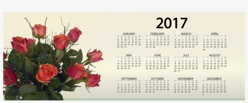 Happy New Year 2017 Facebook Cover Pics - Happy New Year 2017 Calendar, transparent png