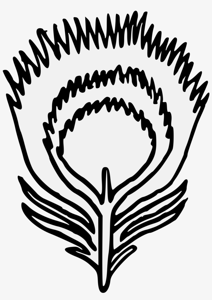 Details, Png, transparent png