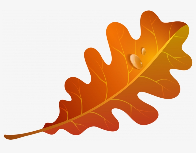 Autumn Leaf Clipart, transparent png