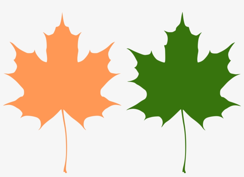 This Free Icons Png Design Of Maple Leaves, transparent png